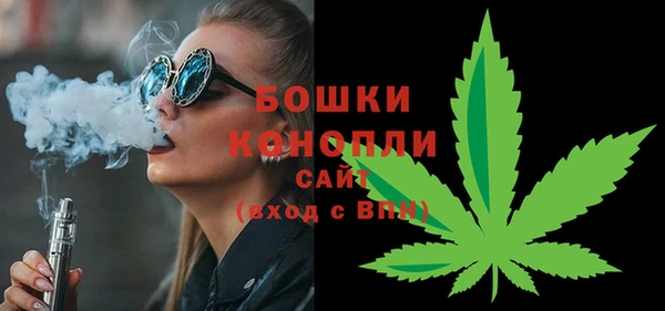 ГАЛЛЮЦИНОГЕННЫЕ ГРИБЫ Касимов