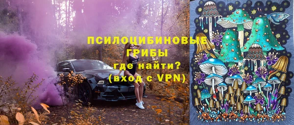 ГАЛЛЮЦИНОГЕННЫЕ ГРИБЫ Касимов